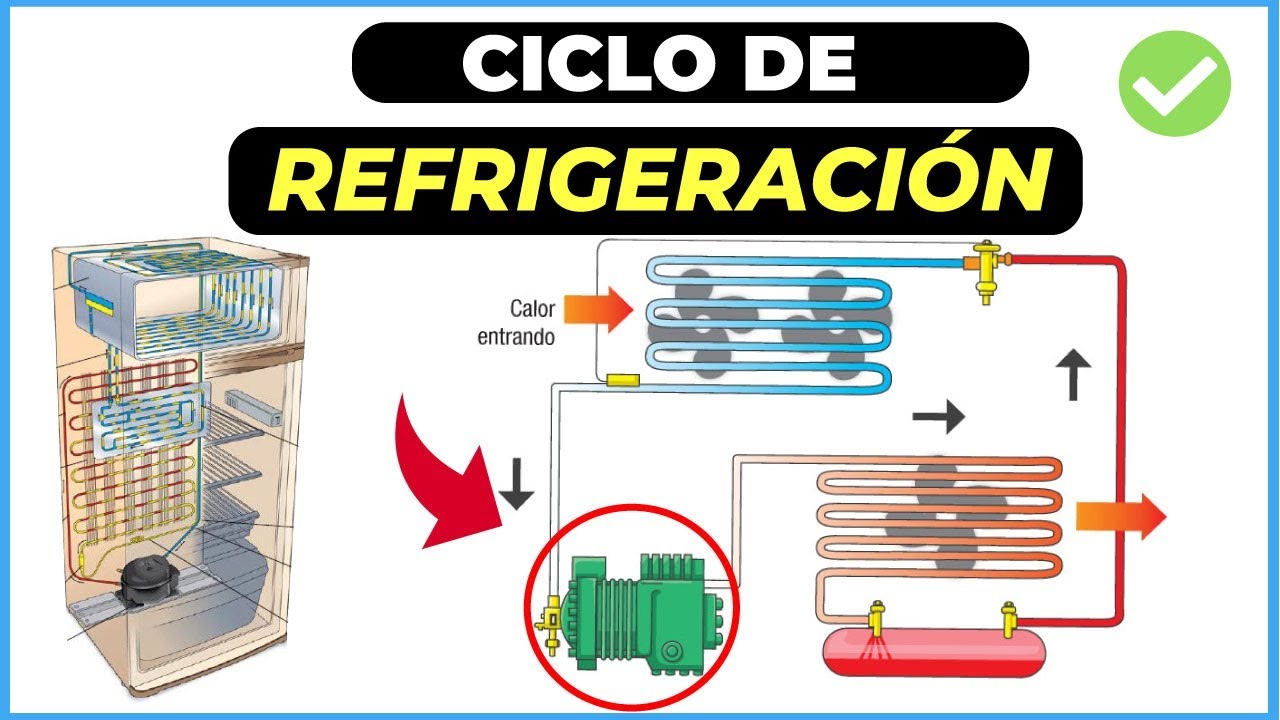 Guía completa sobre el significado y uso del defrost