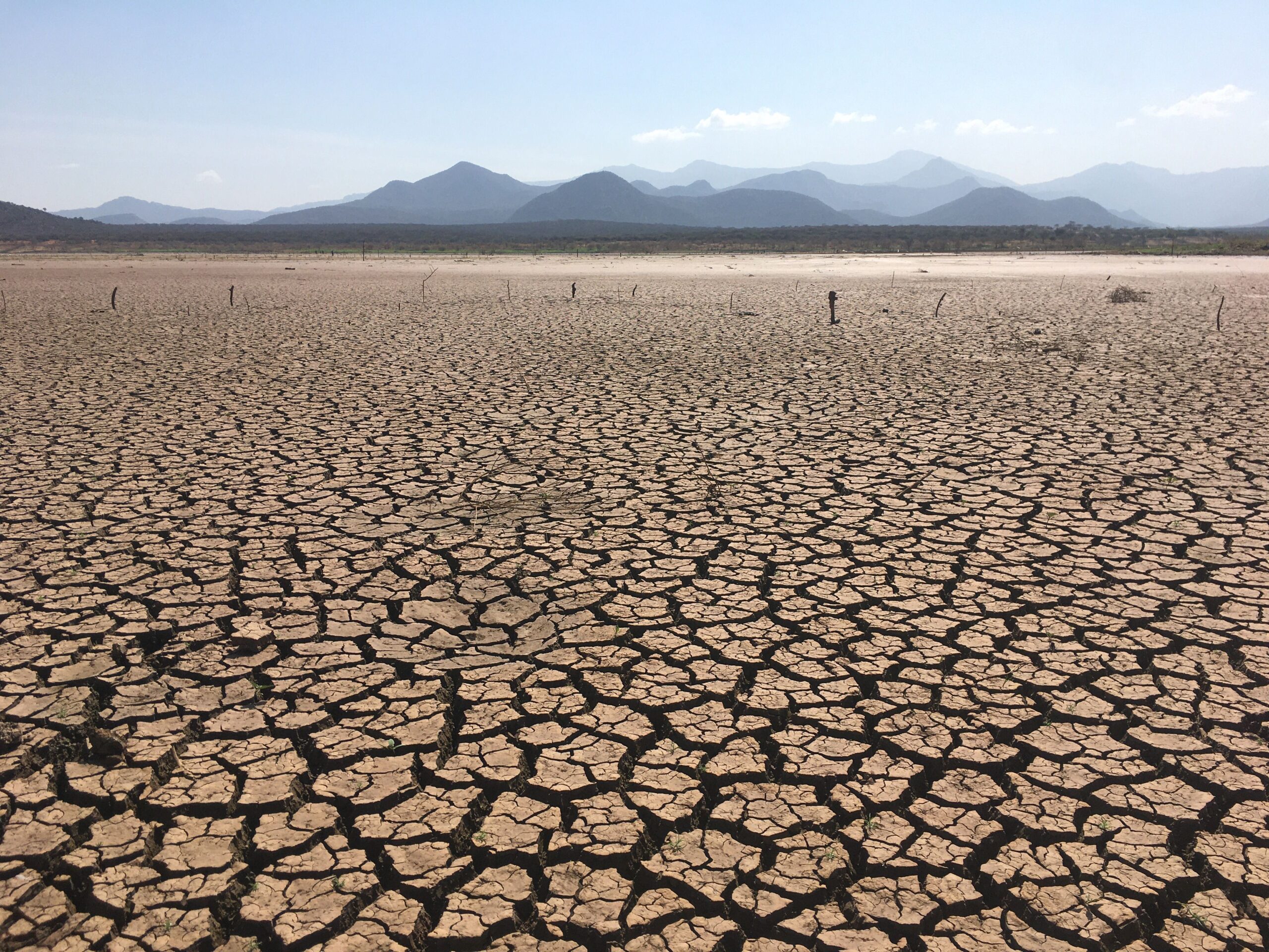 Tierra seca y agrietada debido a una sequía prolongada, representando el estrés hídrico causado por el cambio climático.