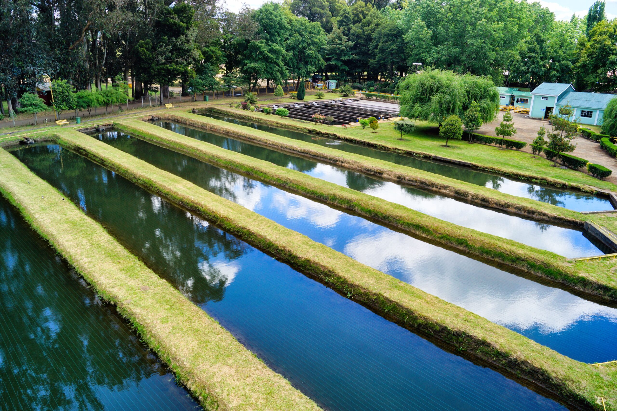 Estanques de acuicultura sostenible, ejemplo de adaptación y uso eficiente del agua en el sector agrario.