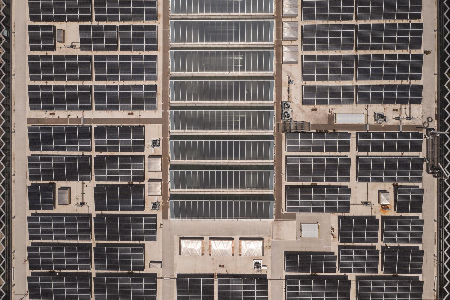 Instalación de paneles solares en la azotea de un edificio industrial, ilustrando el uso de energía fotovoltaica en el sector comercial.