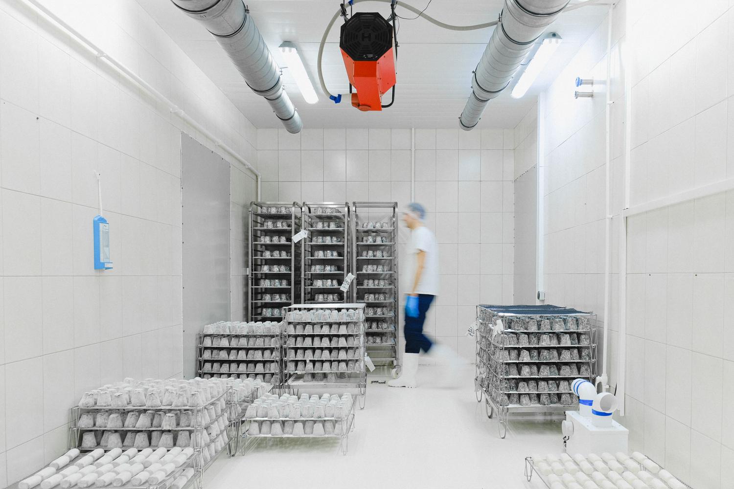 Interior de un almacén de frío industrial con estanterías de productos perecederos y personal especializado.