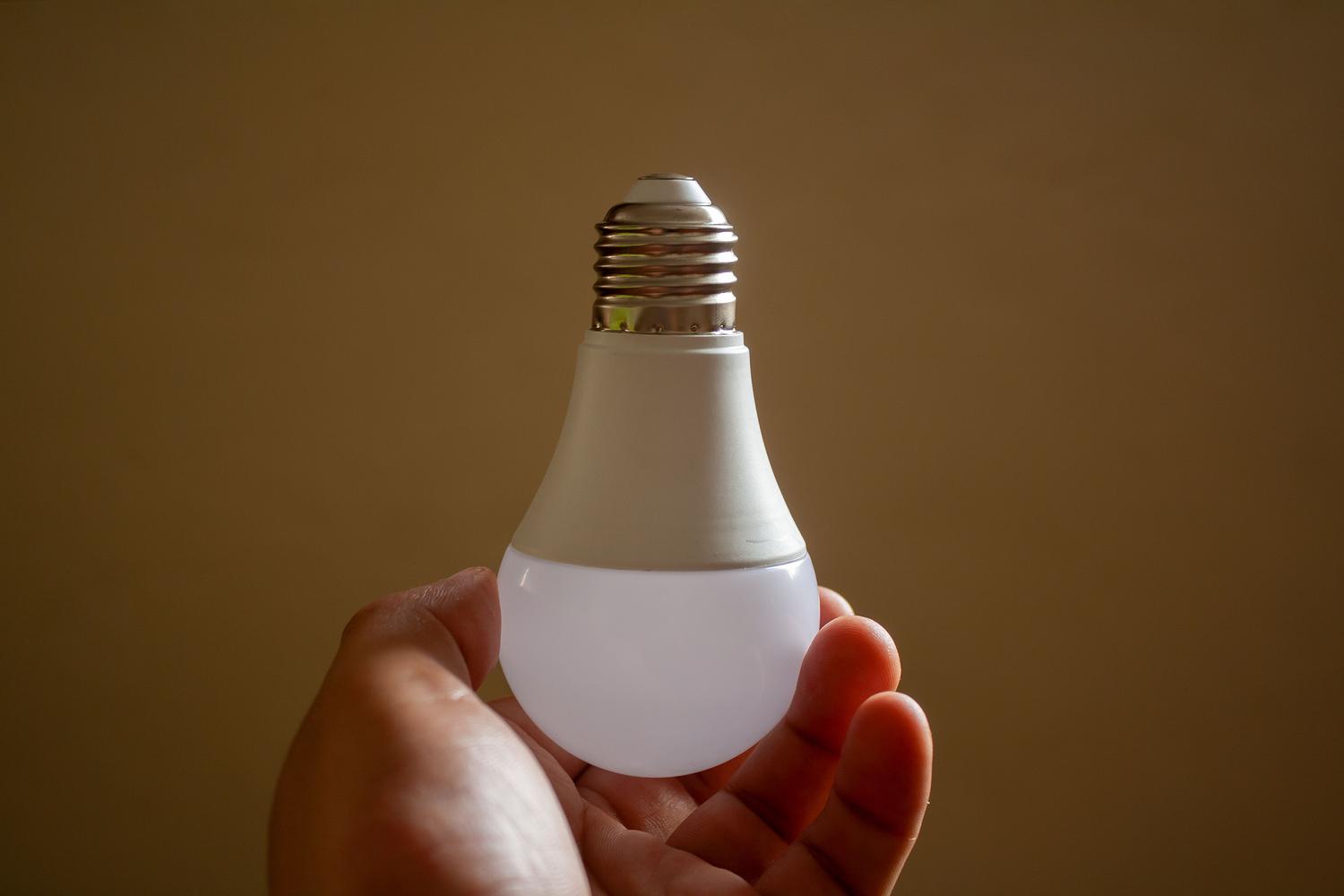 Primer plano de una mano sosteniendo una bombilla LED de bajo consumo, representando la transición a una iluminación más eficiente.