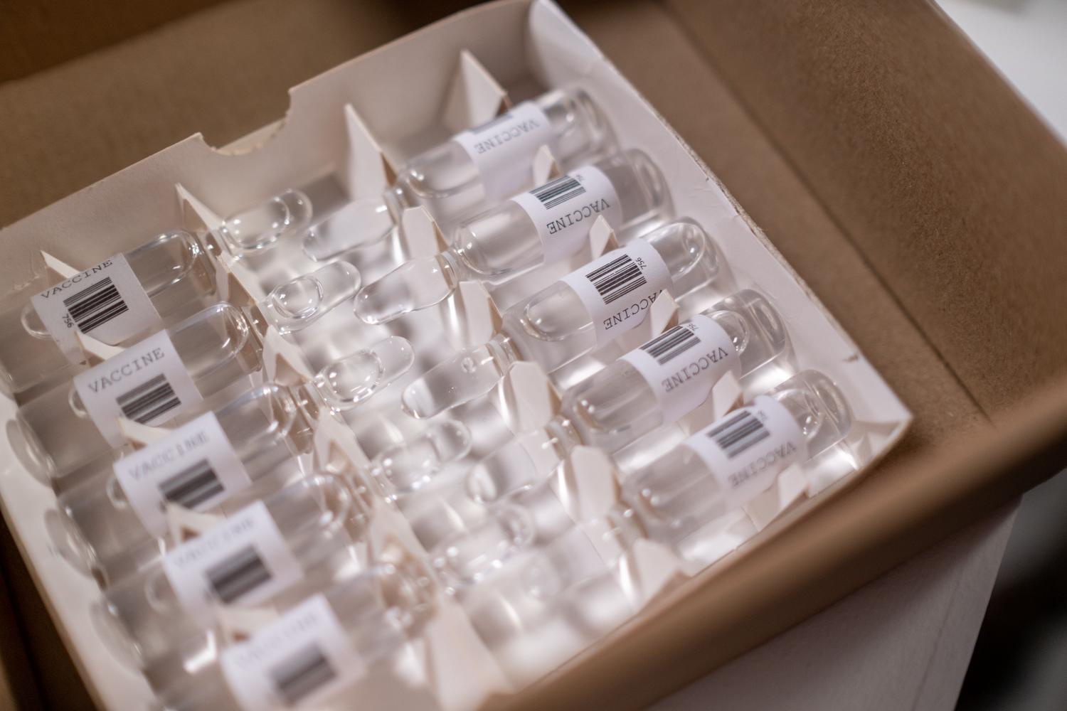 Viales de vacunas organizados en una caja de cartón para su distribución logística.