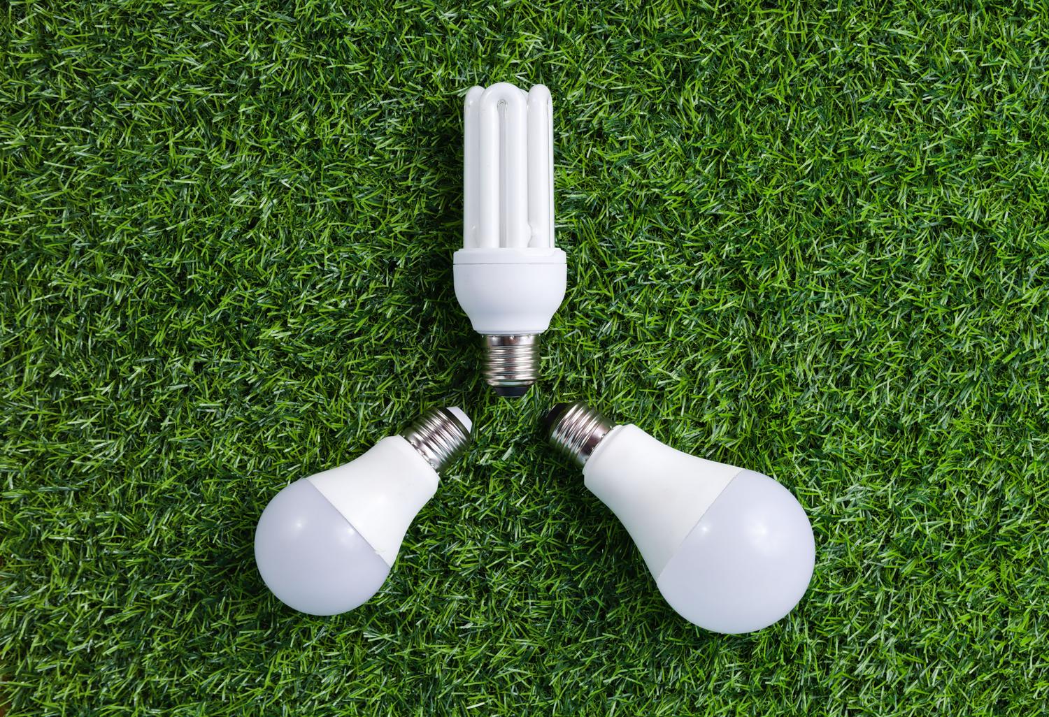 Bombillas LED de bajo consumo sobre fondo verde, simbolizando la iluminación sostenible.