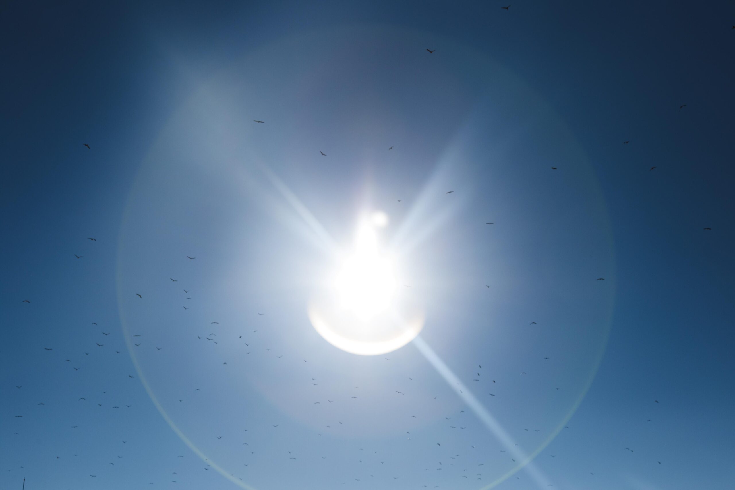 Sistema de certificados de ahorro energético