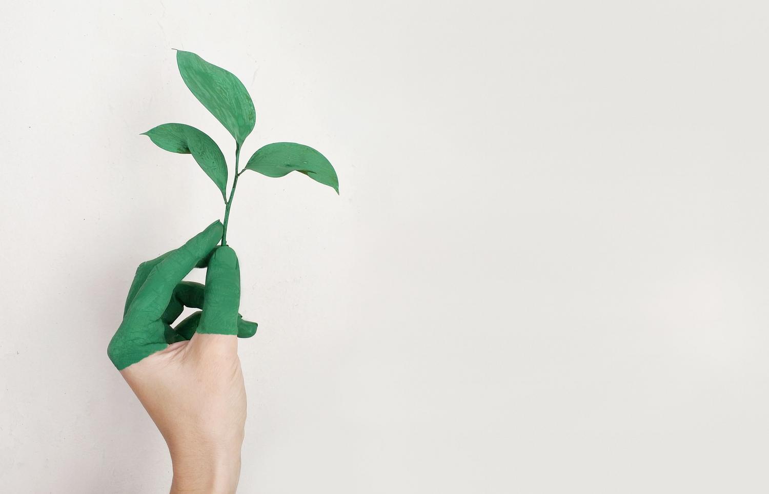 Una mano sosteniendo un pequeño brote verde, símbolo del compromiso ambiental y la sostenibilidad empresarial.