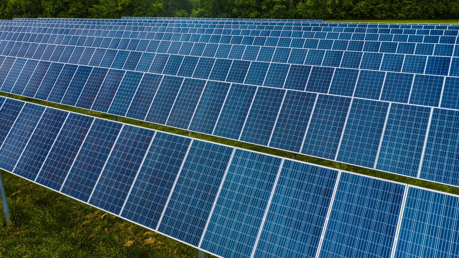 Sistemas de seguimiento solar (solar trackers) en una planta fotovoltaica, optimizando la captación de luz solar. Sistemas de seguimiento solar (solar trackers) en una planta fotovoltaica, optimizando la captación de luz solar.