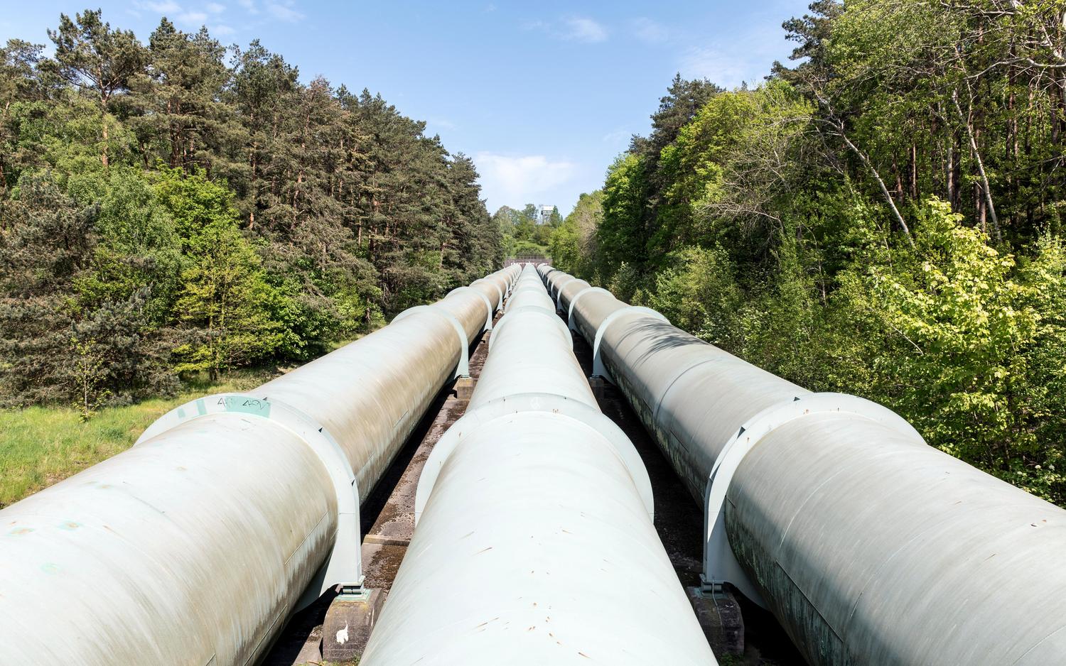 Tuberías industriales de gas natural atravesando un bosque, representando la infraestructura donde pueden ocurrir fugas accidentales de metano.