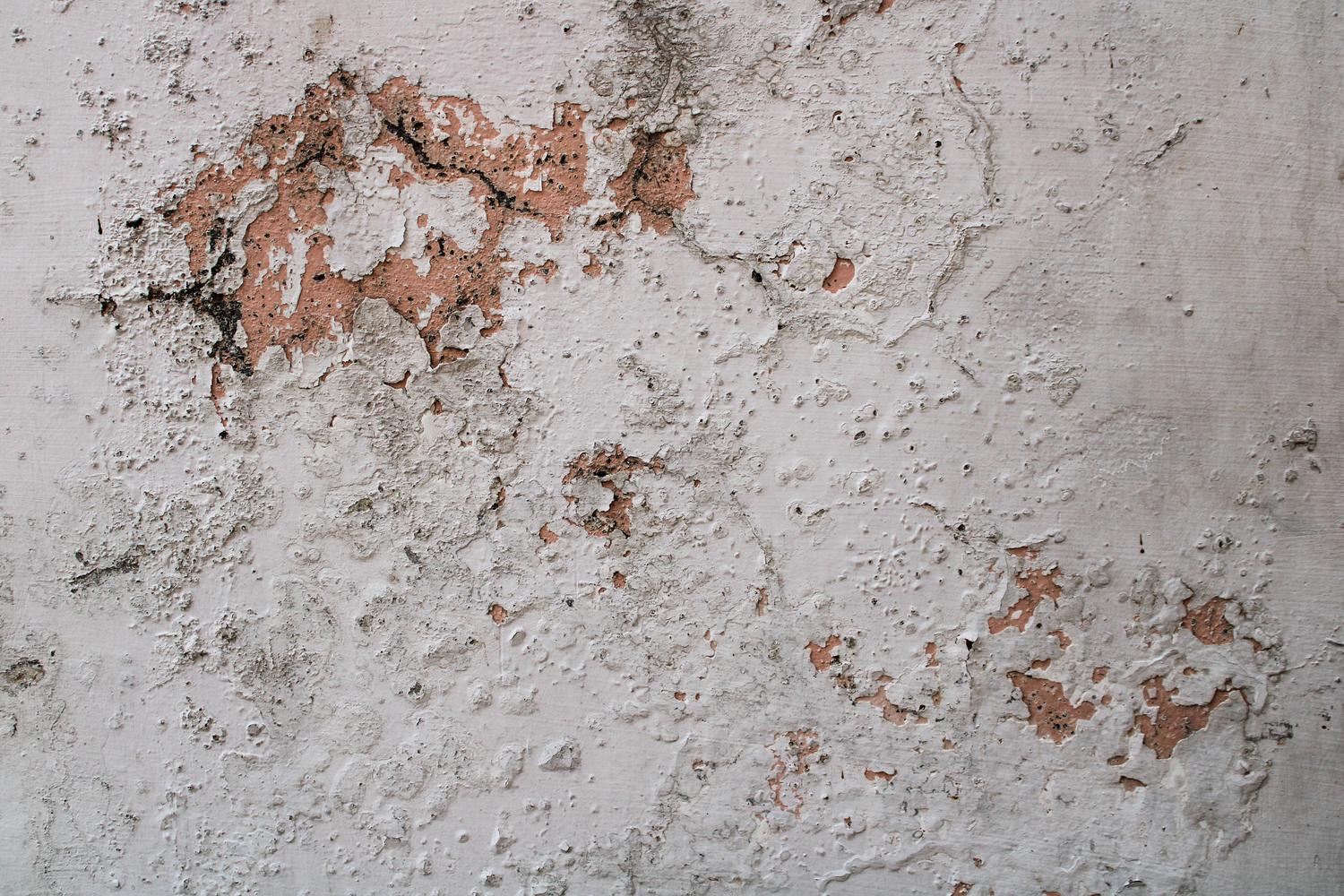 Detalle de una pared de hormigón con pintura descascarillada debido a la humedad por capilaridad.