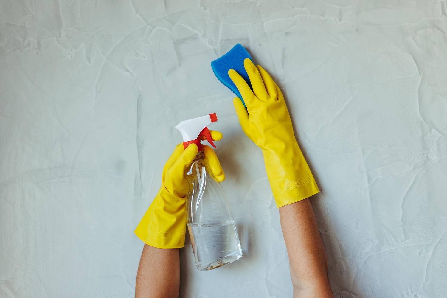 Persona con guantes protectores limpiando una pared con moho utilizando un spray y esponja.